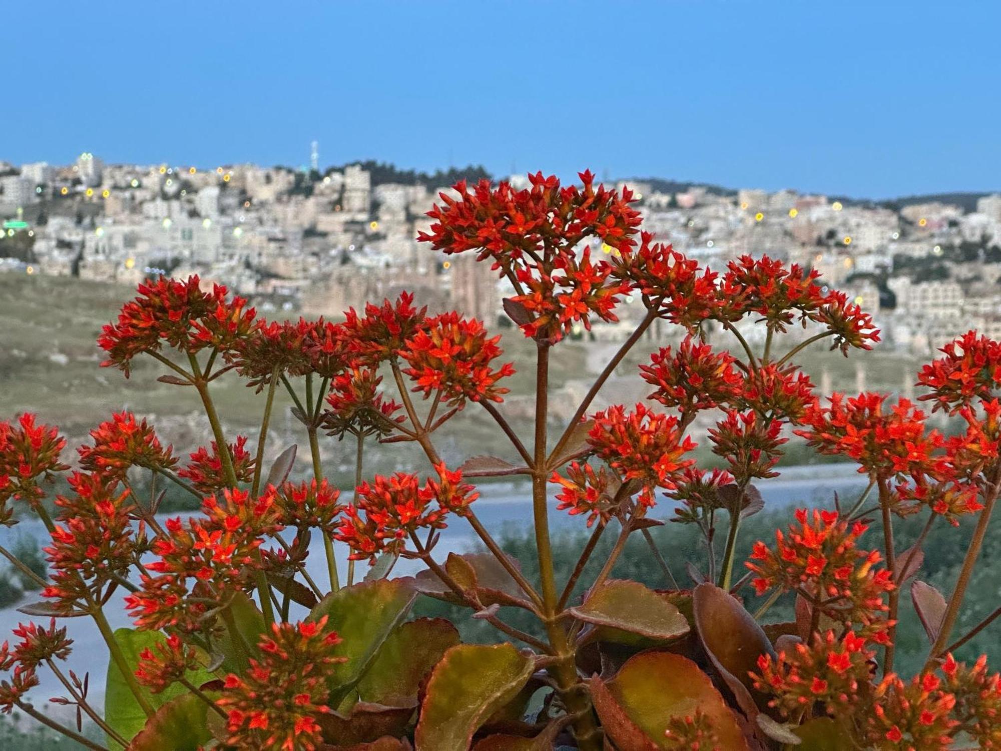 Jerash City View Джараш Экстерьер фото