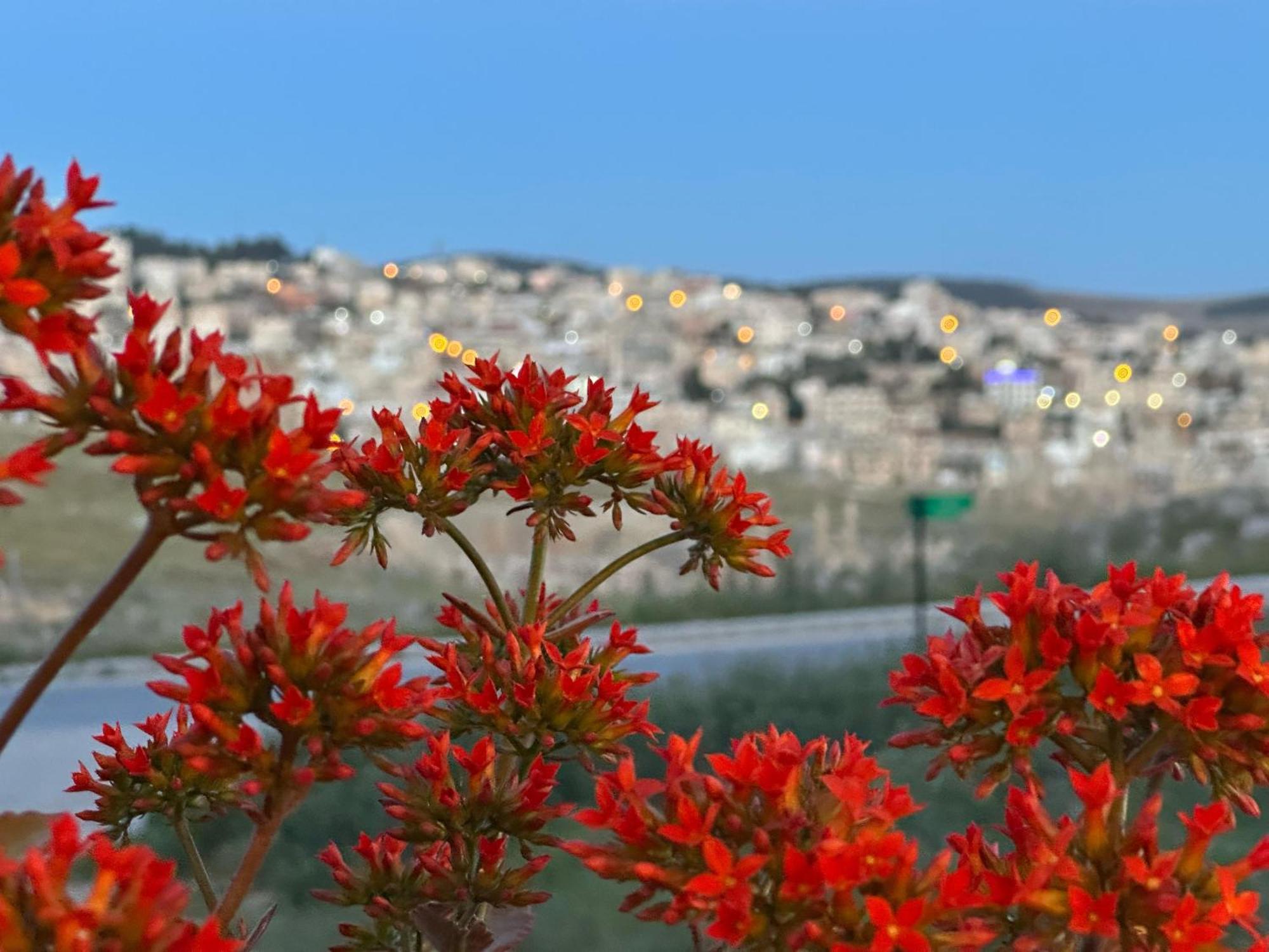 Jerash City View Джараш Экстерьер фото